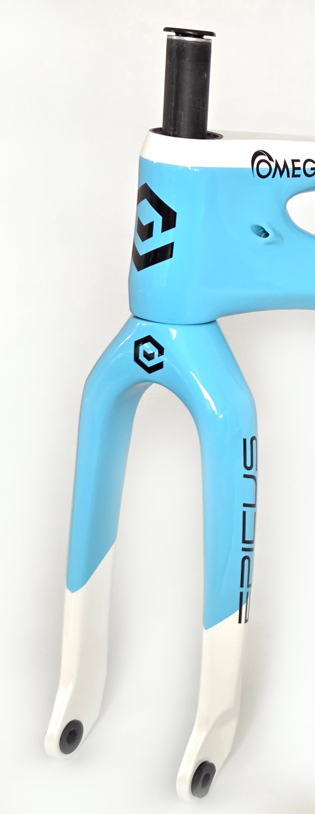 Carbon Forks