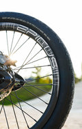 Rims
